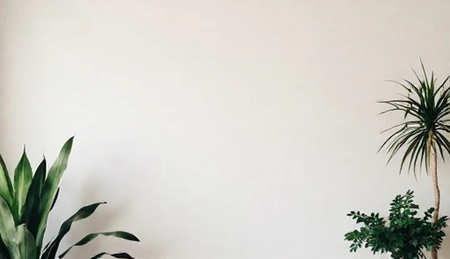 服务选择:学习规划业务流程中的选型关注点
